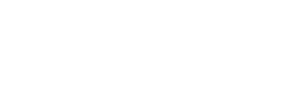 LOGO-Palitra-narujnoy-reklamy